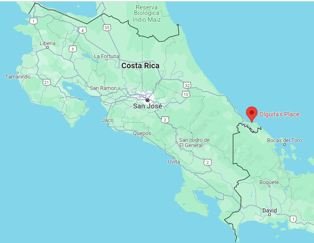 Olguita's Place, Punta Uva, Limon