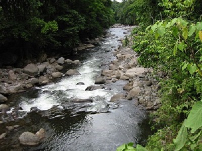 Caribbean-Foothills-2-sm